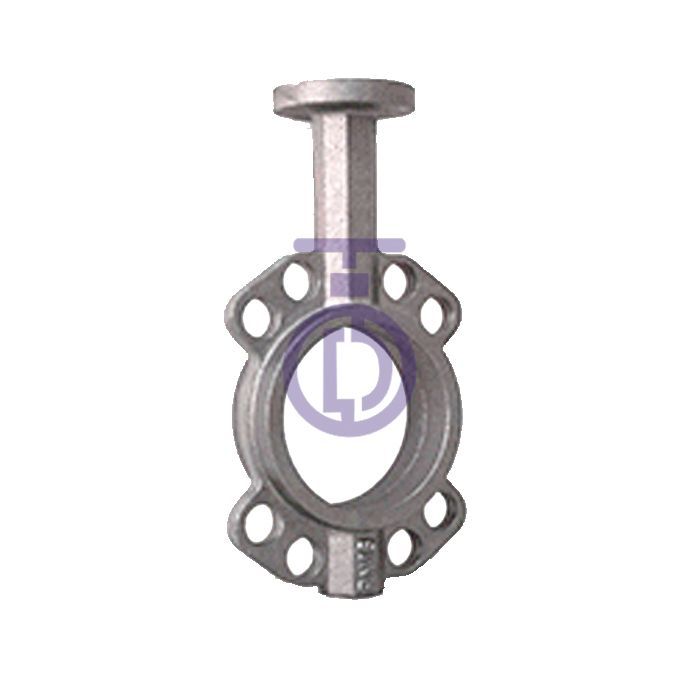 Stainless Steel Valve Body