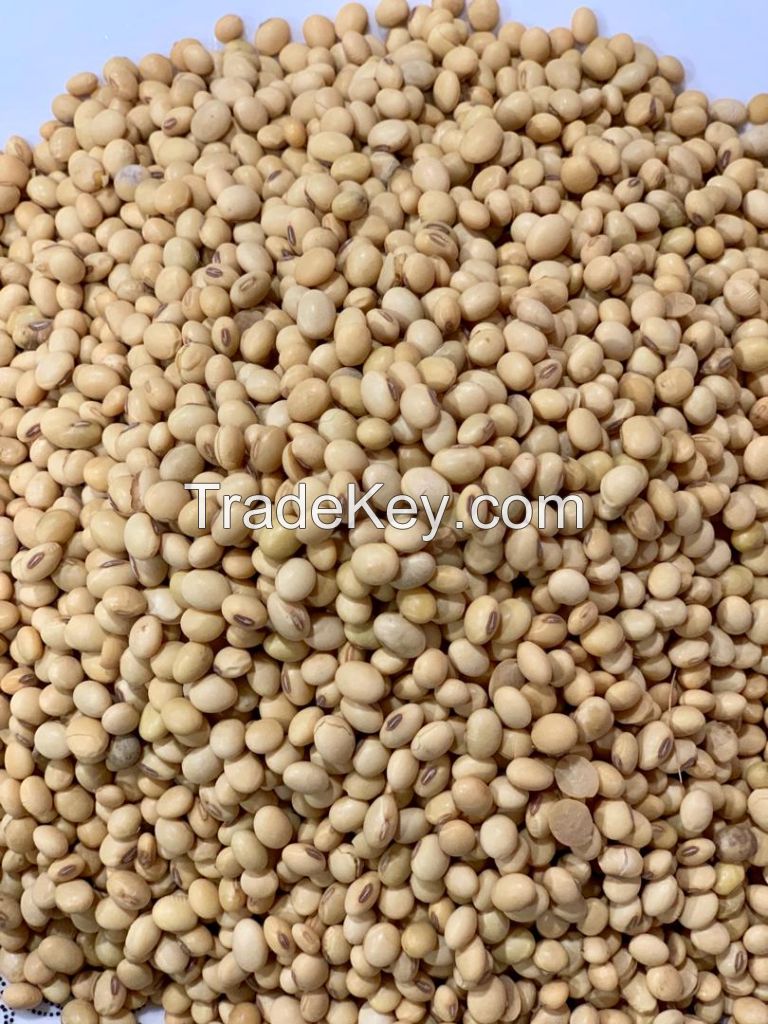 Soybeans