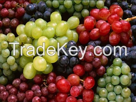 Fresh Grape (Green &amp;Crimson )