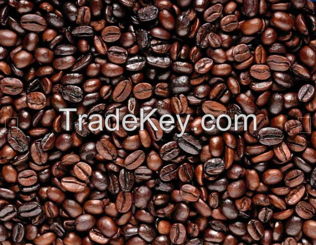 Wet-polished Robusta Coffee Beans S16