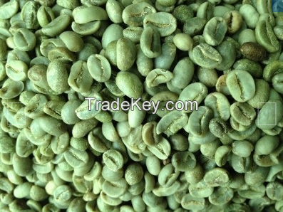 Washed Arabica Green Coffee Beans S16