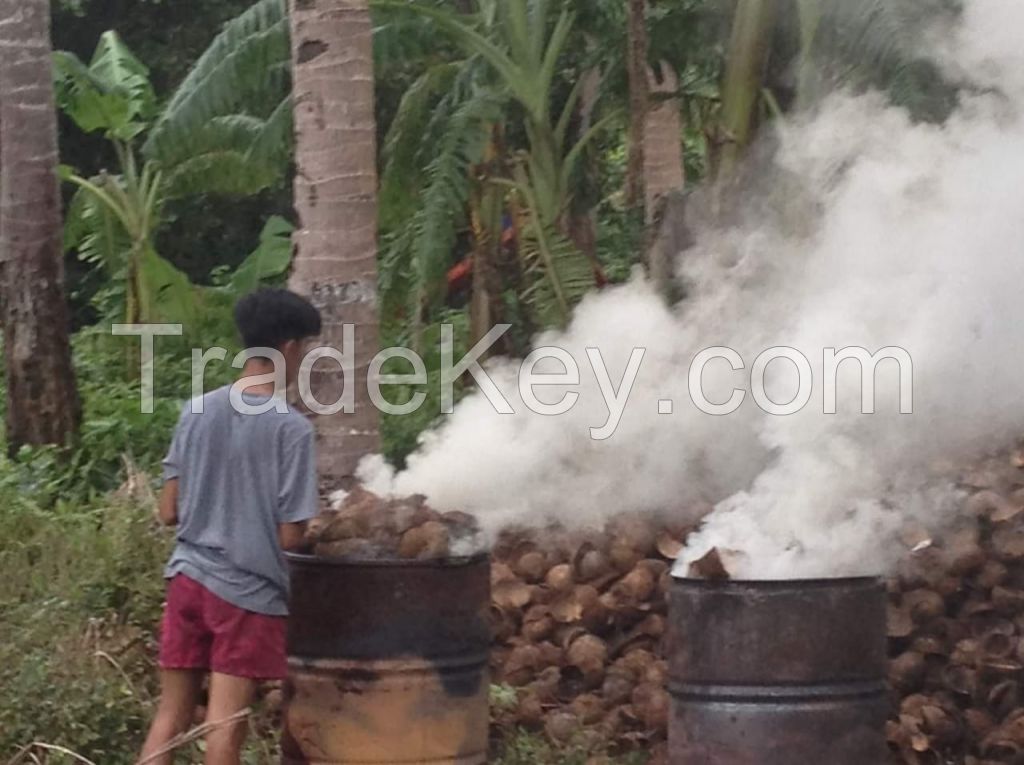 Coconut Shell Charcoal