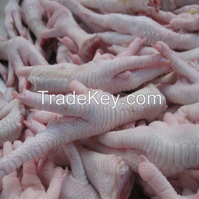 Buy Grade A Frozen Chicken Feet