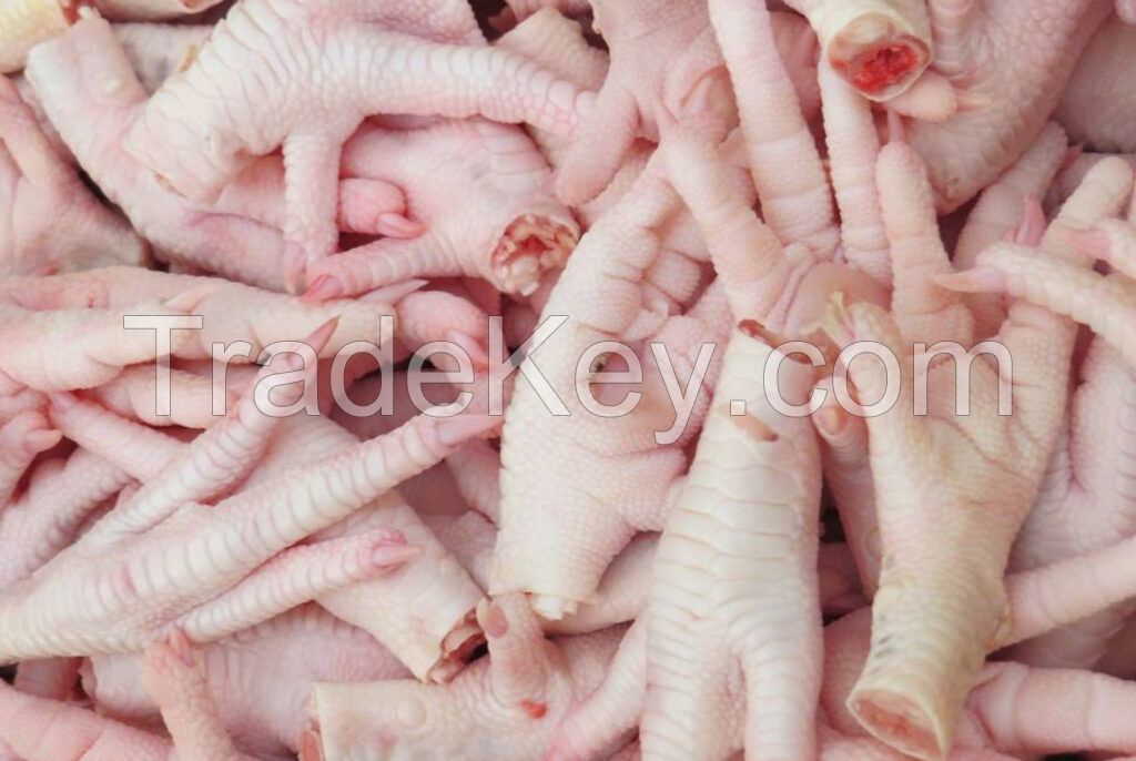 Buy Grade A Frozen Chicken Feet