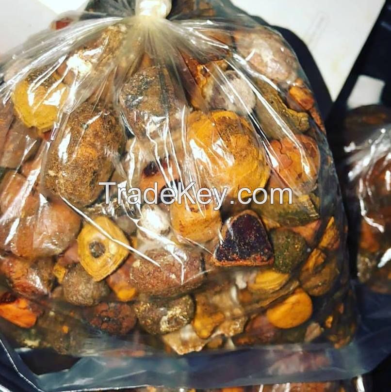 Bulk Quality Cow Ox Gallstones / Cattle gallstones