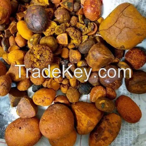 Bulk Quality Cow Ox Gallstones / Cattle gallstones