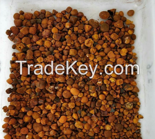 Top Quality Cow Ox Gallstones / Cattle gallstones