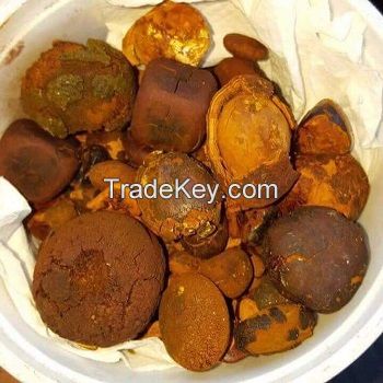 Top Quality Cow Ox Gallstones / Cattle gallstones