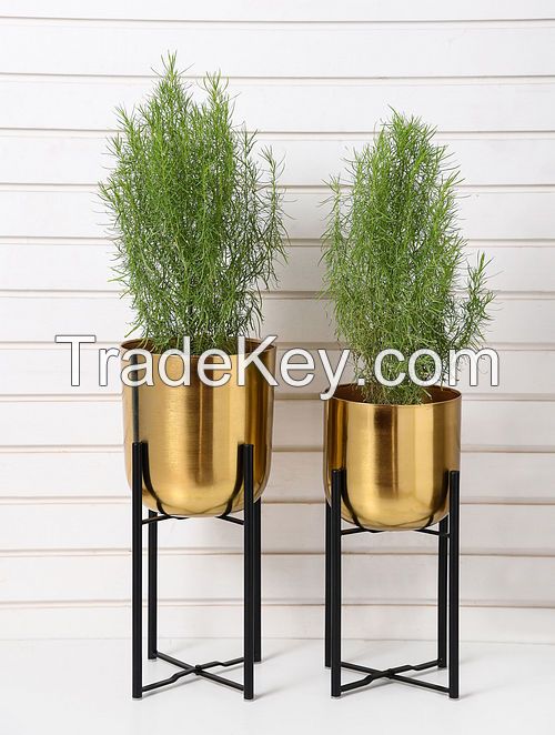 Black and Gold Iron Planters