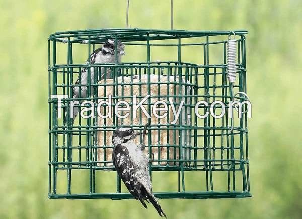 Bird Feeder