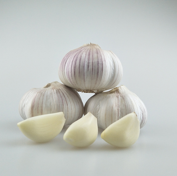 Fresh Garlic,new crop 2019 with factory price