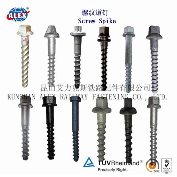 Railroad Screw Spike Track Screw for Rail Sleeper China Supplier