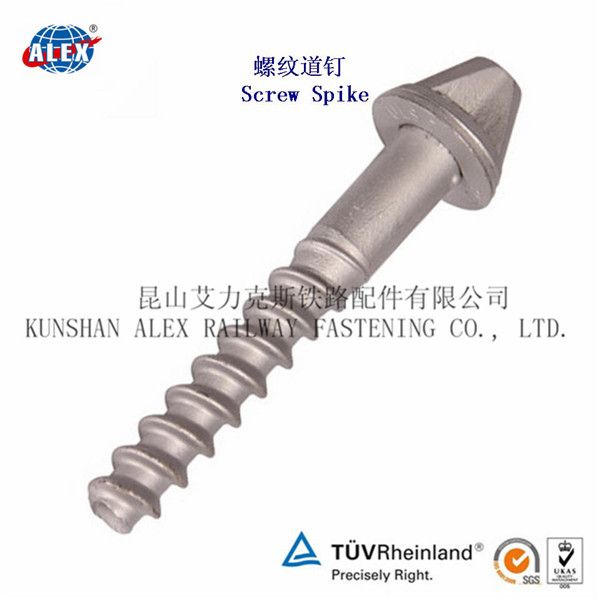 Railroad Screw Spike Track Screw for Rail Sleeper China Supplier