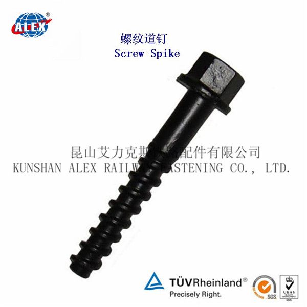 Railroad Screw Spike Track Screw for Rail Sleeper China Supplier