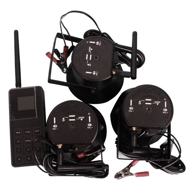 Amazon hot selling birds calls 3 hunting callers with one remote control from original factory CP-830