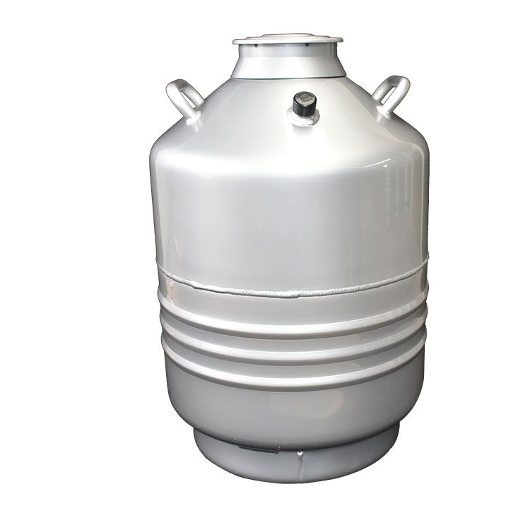 Best price YDS-30 liquid nitrogen storage cryogenic container for artificial insemination