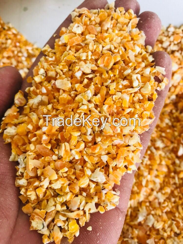 Yellow Corn Crushed