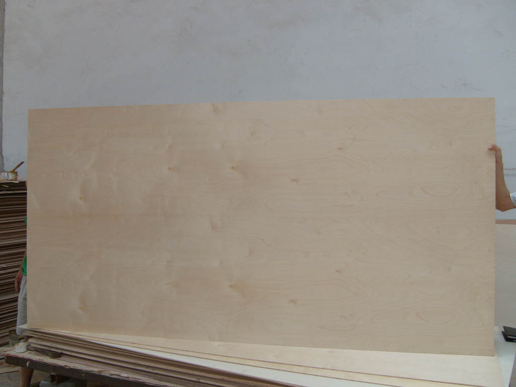 Birch Plywood