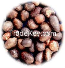 Palm Kernel Nuts