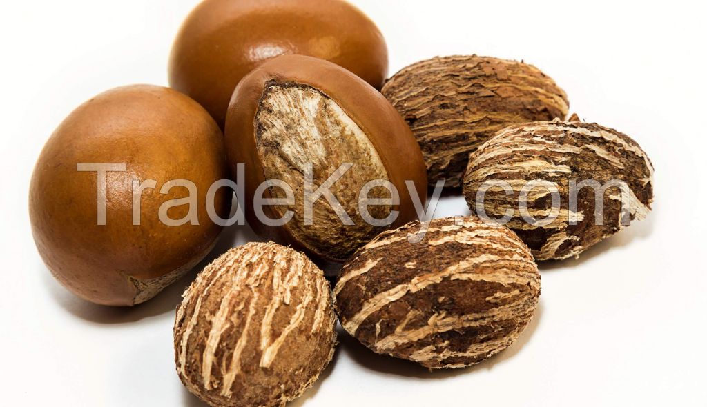 High Quality Shea Nuts