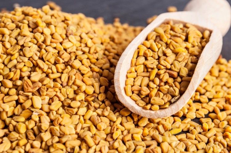 Fenugreek Extract