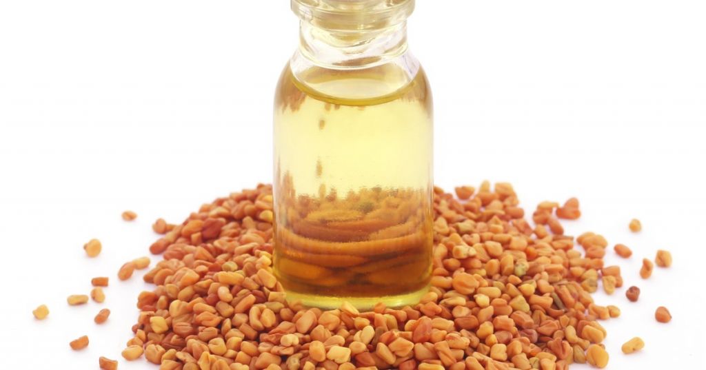 Fenugreek Extract