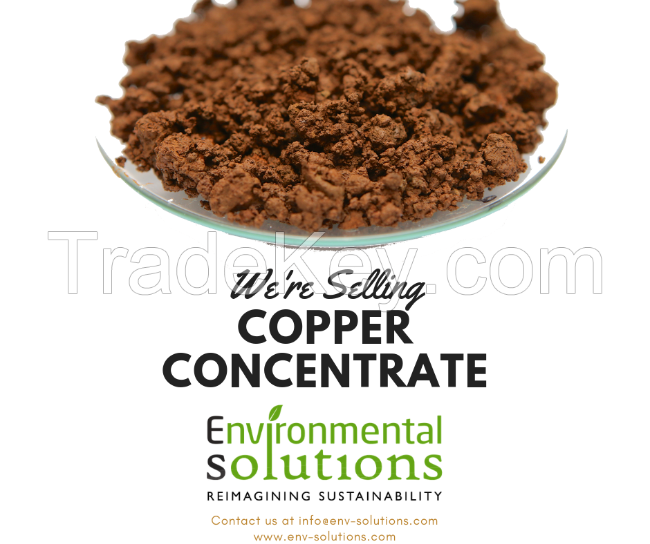 Copper Concentrate