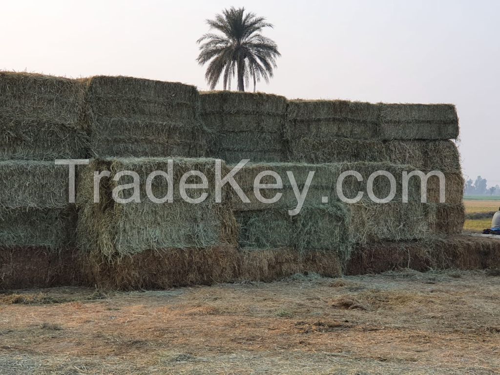  MANUFACTURER AND EXPORTER OF ANIMAL FEED.