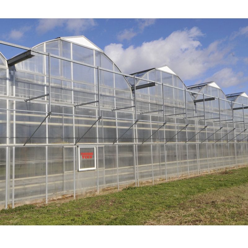 light steel structure space frame glass greenhouse for farming 