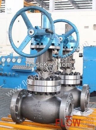 Globe Valve