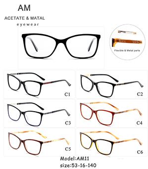 Metal Acetate Eyeglasses Frames AM11