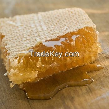 Bulk 100% pure organic raw sunflower comb honey 