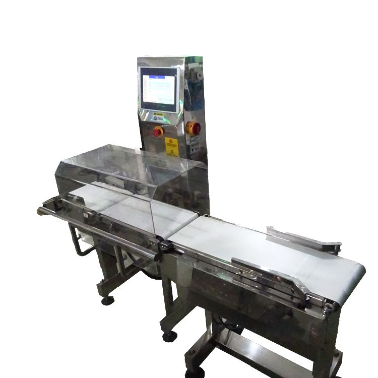 Chinese Automatic Digital Online Checkweighing Scale Check Weigher