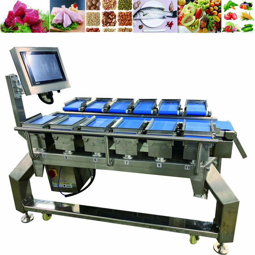 Digital and Stability Conveyor Belt Combination Weigher Scale for Frui