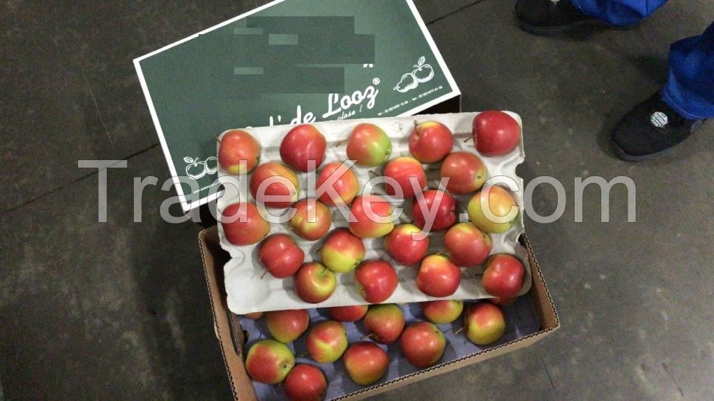 Fresh Apple Braeburn