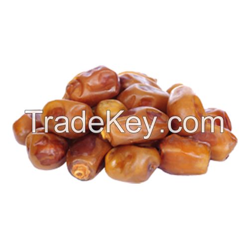 High Quality Iranian Zahidi Dates