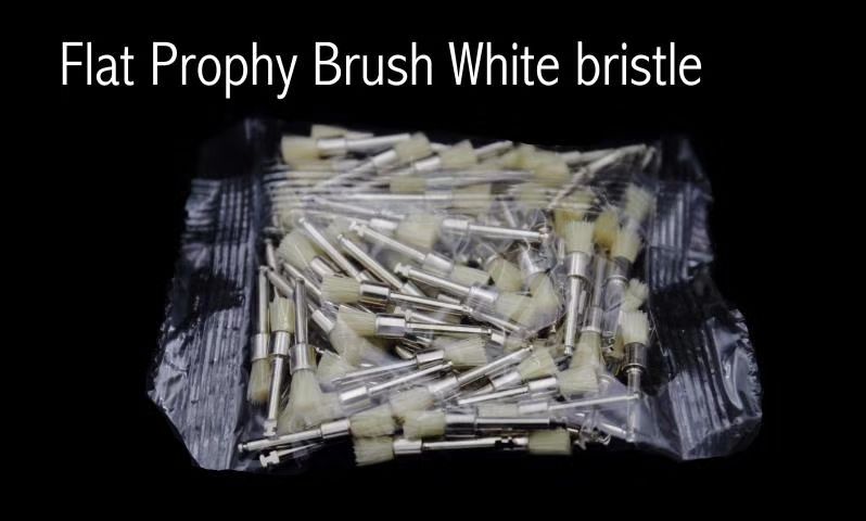 Dental Polishing Prophy Brush