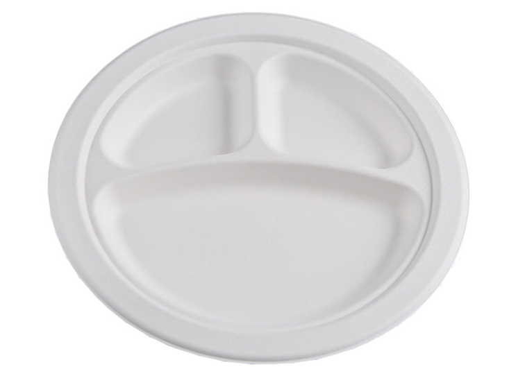 Sugar Cane Compostable Biodegradable Disposable Sugarcane Bagasse Paper Plate 