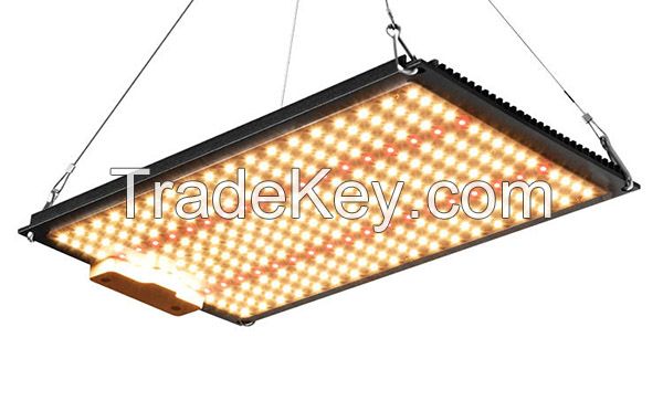 60w/80w/100w120w/150w/180w240w/300w/360w/480w/600w/800w/1000w/1200w led full spectrum led grow lights supplier