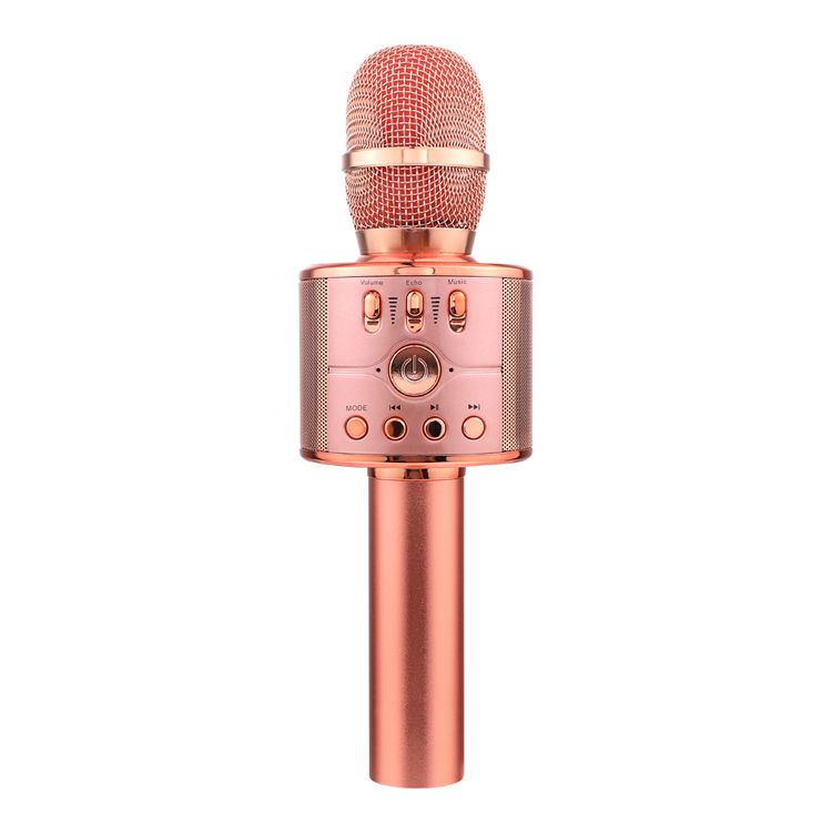 Bluetooth Karaoke Microphone Speaker TF USB Aux FM Record Function Speaker