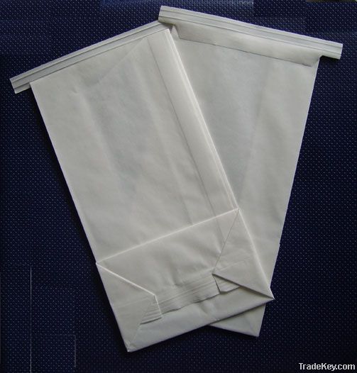 airsickness bag