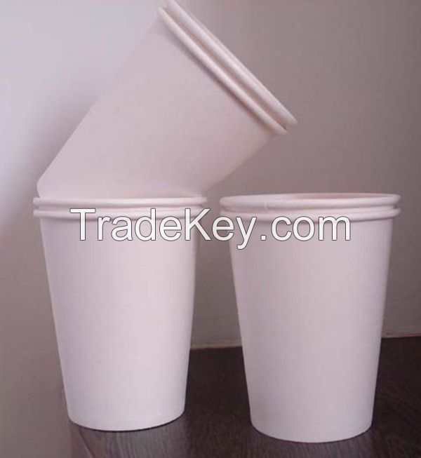 disposable paper cup