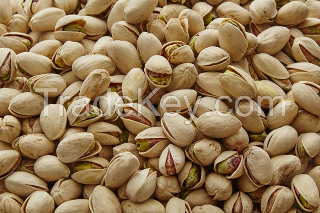 Walnut, pistachio, almond nut, hazelnut, cashew nut 