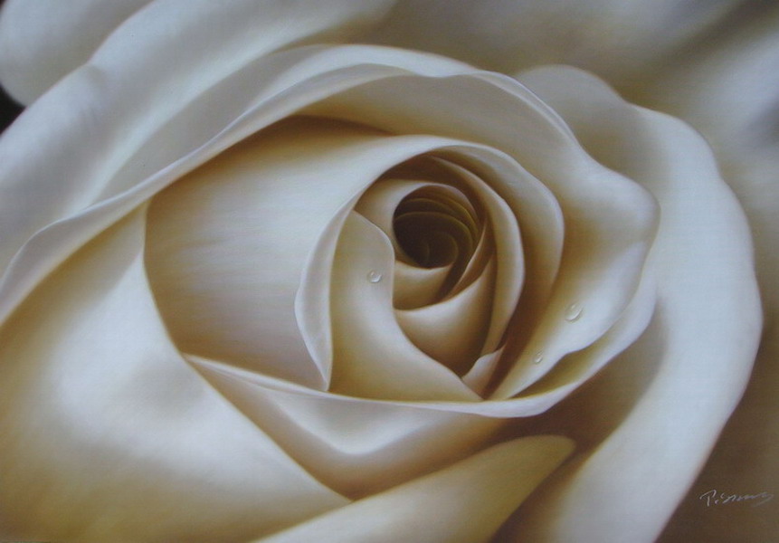 White Rose Painting