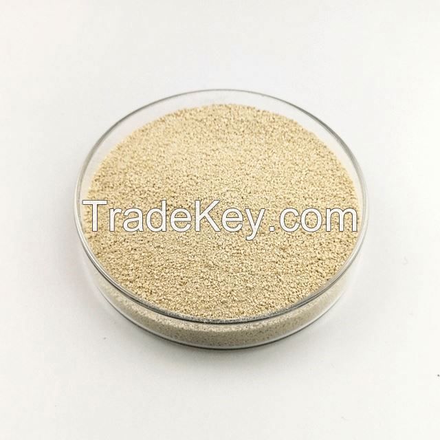 Top L-Lysine HCl 98.5% Feed Grade Factory