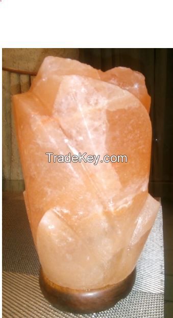 Hushi Pink Salt Lamps