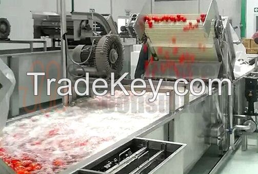 Tomato Processing Line