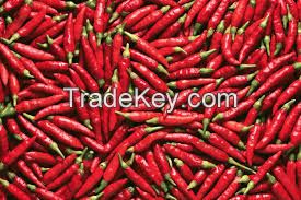 red chili