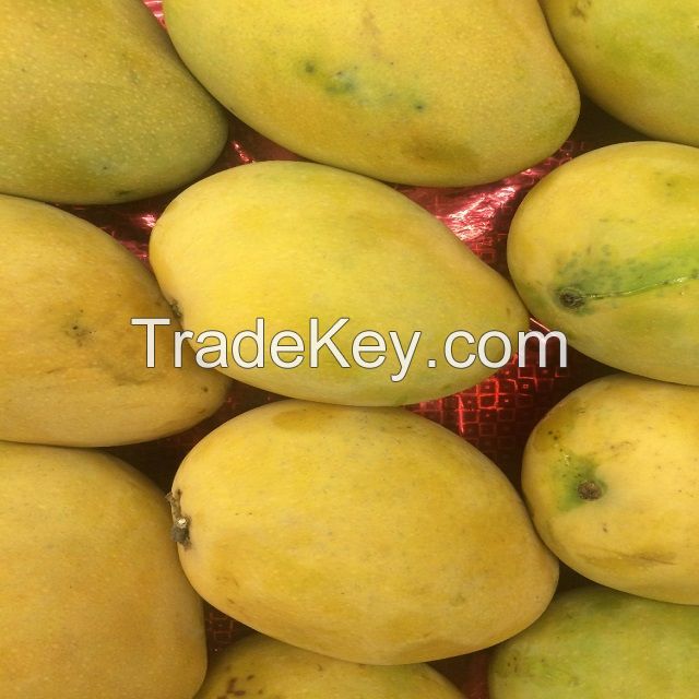 Langra Mango