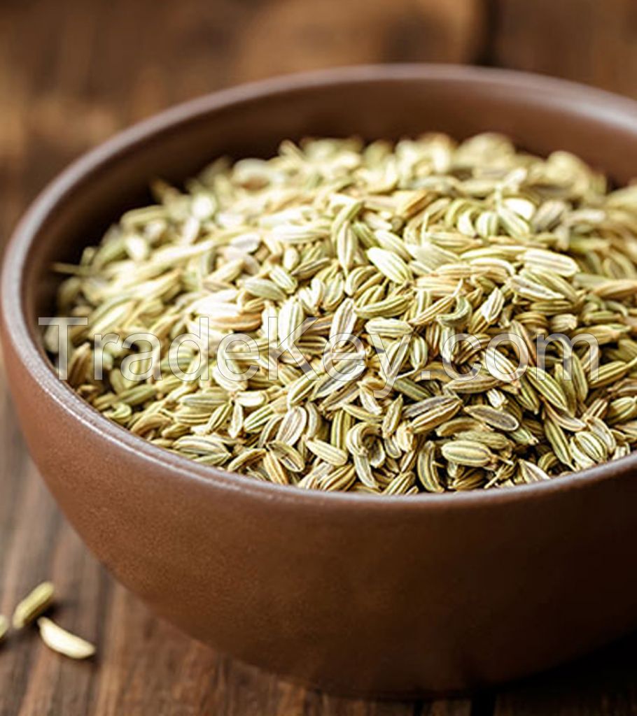 Fennel Seeds